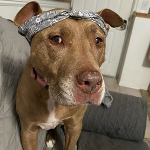 Meet your Posher, Ann